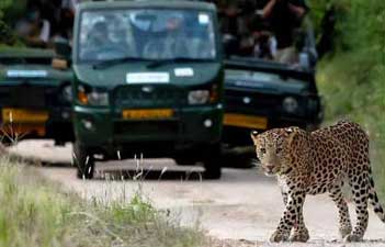 jhalana safari